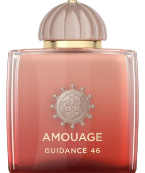 Amouage Guıdance 46 EDP 100 ML Unisex ARC JLT